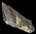 Dogtooth Calcite Crystal - Morocco #57383-1